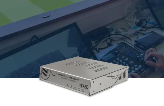 Fixed Audiocodecs